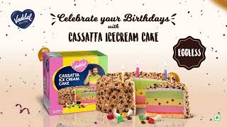 Vadilal Cassatta Ice Cream Cake [upl. by Jeff]