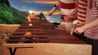 Zelda Wind Waker  Dragon Roost Island on Marimba [upl. by Ledah]