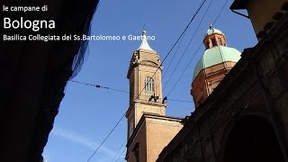 Le campane di Bologna  Basilica Collegiata dei SsBartolomeo e Gaetano [upl. by Savdeep]