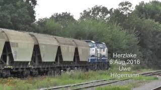 D amp D goederen trein op de MHE Meppen Haselünner Eisenbahn [upl. by Adias]