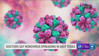 Doctors give tips on how to treat the Norovirus [upl. by Giffy]