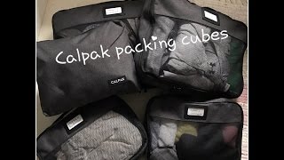 Calpak packing cubes  How I pack for a 3 week trip [upl. by Aliuqahs]