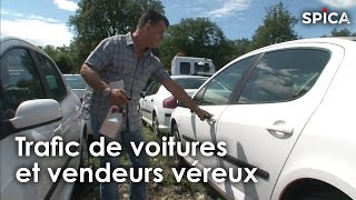 Trafic de voitures  enquête sur les vendeurs véreux [upl. by Katina]