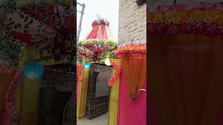 Entry Get Wedding viralvideo [upl. by Mistrot]