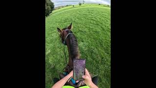 I was a bit worried about that dodgy fencing horse bridleway equestrian [upl. by Remliw]