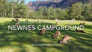 Newnes Campground  Wollemi National Park New South Wales Australia [upl. by Abeu]