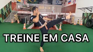 TREINO PARA FAZER EM CASA  CHUTES E PERNAS 1 [upl. by Awhsoj970]