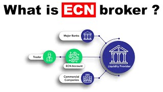 What is ECN broker in Forex [upl. by Notla95]