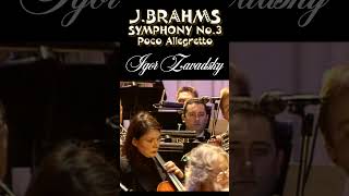 JBrahms  Symphony №3 Poco Allegretto 77 Zavadsky brahms accordion symphonymusic orchestra [upl. by Adnirod]