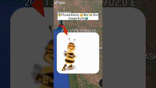 I Found honey 🍯 bee 🐝 on google earth😨shorts findoldspected [upl. by Vitale560]