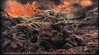 FULL ALBUM Postcoital Ulceration  Continuation of Defective Existence After Multiple [upl. by Aitital]