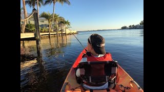 Cape Coral FL canal fishing and fun multispecies [upl. by Alexei93]