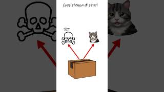 Il Paradosso di Schrödinger Cosè la Realtà 🐱✨ shorts shortvideo [upl. by Furtek]