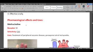 ANS Parasympathomimetic drugs [upl. by Allrud719]