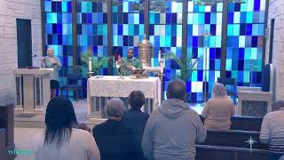 Nativity Catholic Church Live Stream [upl. by Ellimaj]