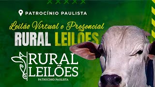 ✅📌 Leilão Presencial e Virtual Rural Leilões  Patrocínio PaulistaSP [upl. by Erual]