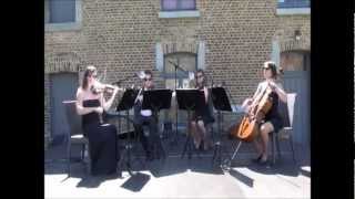 Badinerie  Bach  Diamond String Quartet [upl. by Melisse]