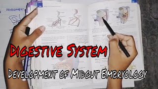 Digestive system Development of Midgut Embryology MBBS ONLINE LECTURES [upl. by Hailed]