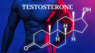 QUANTUM TESTOSTERONE  OPTIMAL TESTOSTERONE AT ALL TIMES MORPHIC FIELD [upl. by Bron]