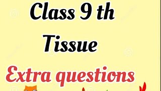 Most important extra questions of ch Tissue  class 9 th Biology [upl. by Dreyer]