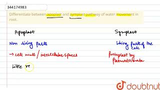 Differentiate between apoplast and symplast pathway of water movement in root  CLASS 11  QUE [upl. by Eceeryt]