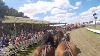 Titanen der Rennbahn 2015  Quadrille 1 [upl. by Phillips]