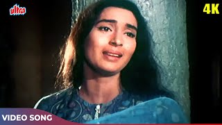 Lata Mangeshkar Ka Dardbhara Gaana  Aaja Re Pyar Pukare  Nutan Dharmendra  Dil Ne Phir Yaad Kiya [upl. by Crespi31]