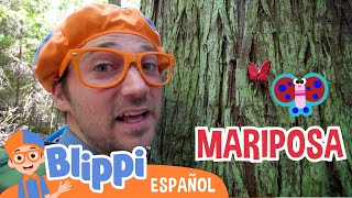 Blippi se va de excursión y limpia la playa  Aprende con Blippi  Videos Educativos [upl. by Hcelemile]