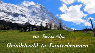 Grindelwald to Lauterbrunnen via Swiss Alps  Switzerland Train Journey 4K Video [upl. by Yerac]