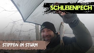 Folge 53 STIPPEN IM STURM  Im Winter zählt jeder Fisch [upl. by Shel]