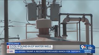 E Coli found in sample from Lower Valley well [upl. by Ajoop]