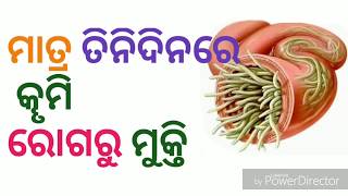 Stomach worms treatment  କୄମି ରୋଗର ଗ୍ୟାରେଣ୍ଟି ଉପଚାର [upl. by Hofmann]