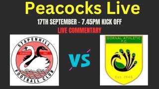 Stapenhill Vs Gornal Athletic [upl. by Allerbag]