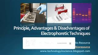 Principle Advantages amp Disadvantages of various electrophoretic techniques [upl. by Aneekat]