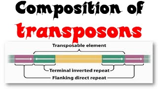 Composition of transposons [upl. by Crispen]