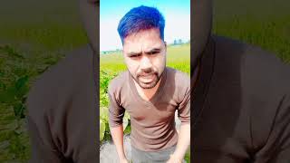 शकुंतला ने तोड़ी खराब बल्ब💡 shortvideo funny ytshorts shorts gabbarcomedy [upl. by Rahs]