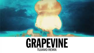 Tiësto  Grapevine Tujamo Remix [upl. by Calli]