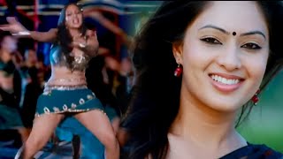 Nikesha Patel Hot Songs  Nikesha Patels Milky Legs Hot Edit  Part  1 [upl. by Nerissa850]