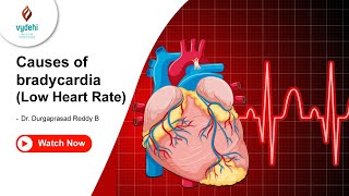 Causes of bradycardia Low Heart Rate  Dr Durgaprasad Reddy B [upl. by Eelinnej363]