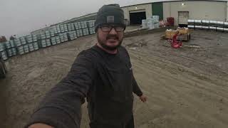 Central Oregon Flatbed Trucking 160 Unloading in the mud Strapping and tarping in the rain [upl. by Todd]