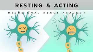 Resting vs Action Potential Simplified Explanation [upl. by Alegre]