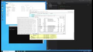 Compile and run EXE On Windows 10 Arm64 Exciting [upl. by Narhet170]