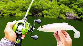 Fishing a BIG Swimbait for Pond MONSTERS [upl. by Angle436]