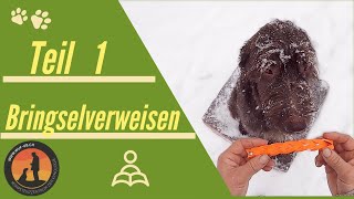 Dem Hund das „Bringseln“ richtig beibringen  Hundeschule UB [upl. by Watkin847]