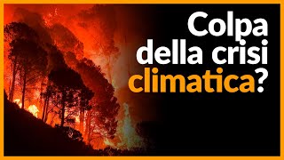 EVENTI ESTREMI e CAMBIAMENTO CLIMATICO Che legame c’è  TerraTerra🌎 [upl. by Adila]