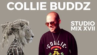 Collie Buddz Special [upl. by Wane]