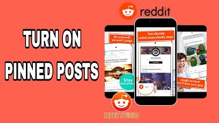 How To Turn On Pinned Posts On Reddit [upl. by Lebiram]