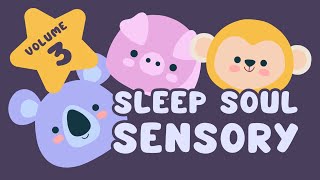 Soothing Sensory Video for Babies  Sleep Soul Volume 3  Calming Sounds for Newborn Babies [upl. by Negiam214]