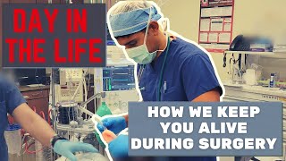 Day in the Life of a StanfordHarvardTrained Anesthesiologist How We Keep You Alive During Surgery [upl. by Felicidad545]