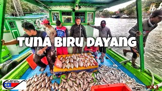 Trip Pulau Aur 4H 3M  Geng Ngail Melaka Vol 3  Tuna Biru Dayang [upl. by Einwahr]